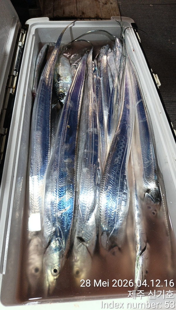 KakaoTalk_20260528_084013764_14.jpg