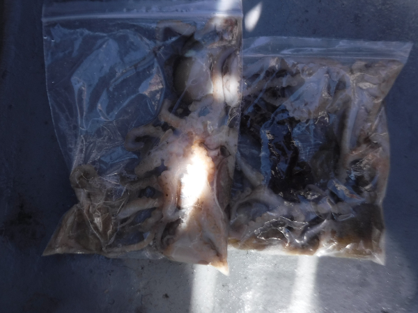 DSCF5689.JPG