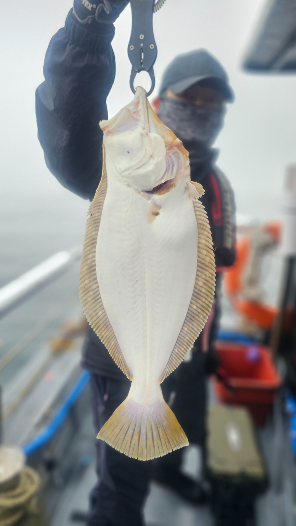 KakaoTalk_20260529_202138057_02 (1).jpg