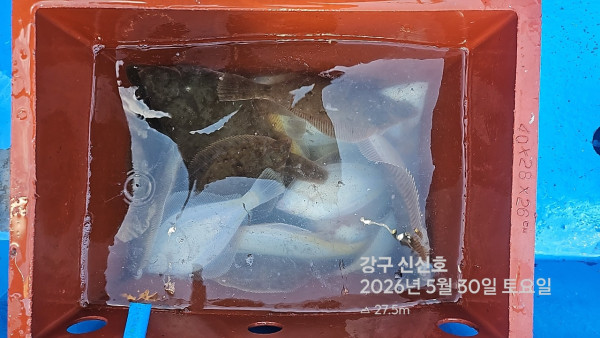 신신낚시 강구점 신신호_사진_20260530_12.jpg