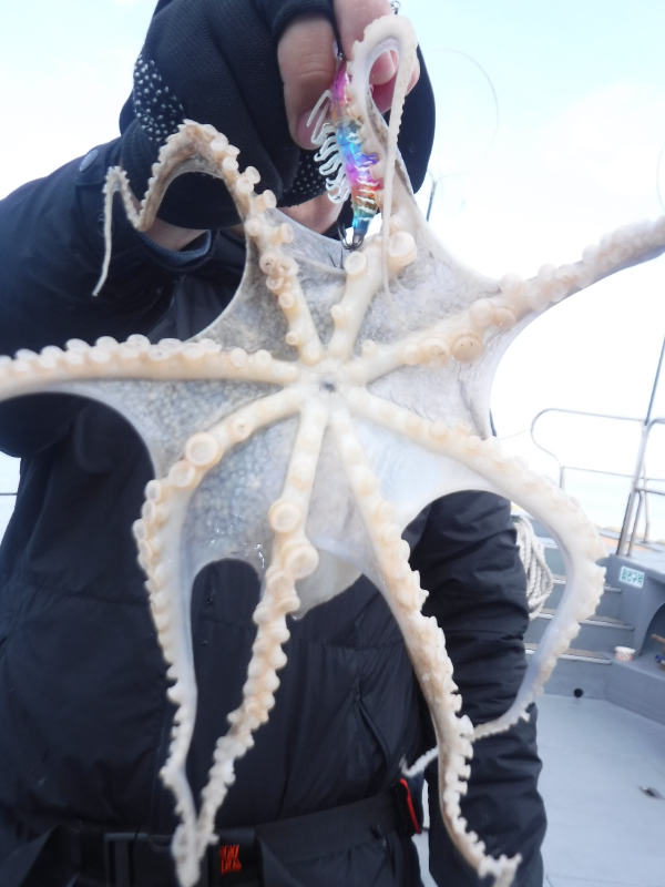 DSCF5721.JPG