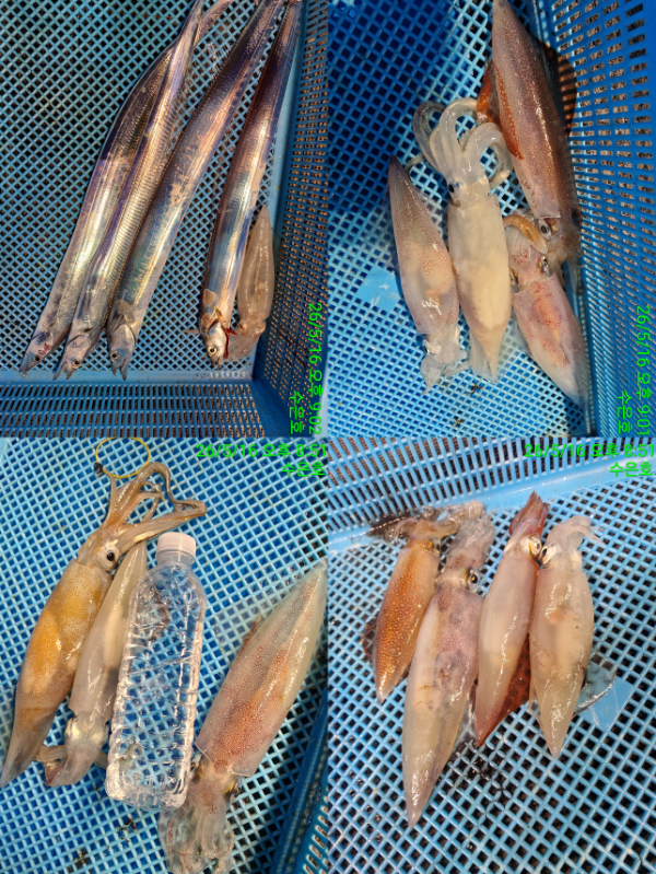 한9.jpg