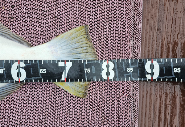 1000053948.jpg