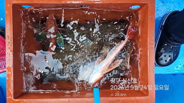 신신낚시 강구점 신신호_사진_20260524_12.jpg