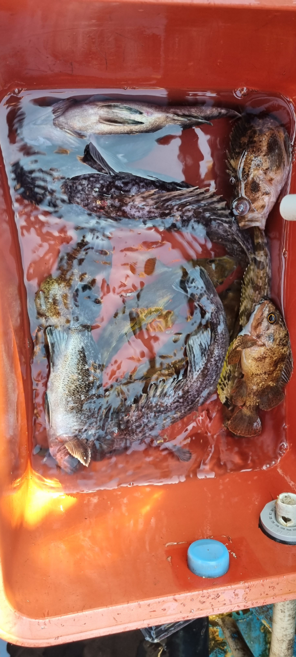 1000010123.jpg