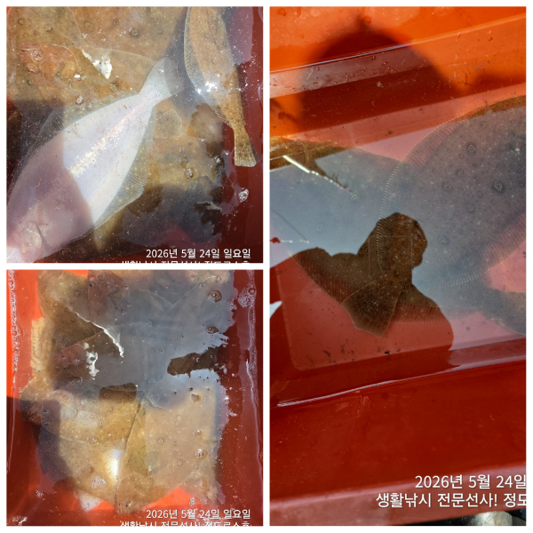 PhotoCollage_1779707193950.jpg