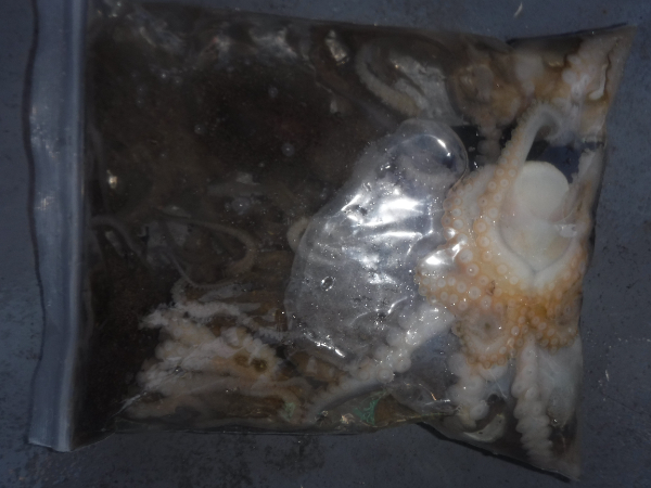 DSCF5694.JPG