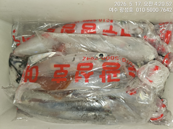 KakaoTalk_20260517_141640460_15.jpg