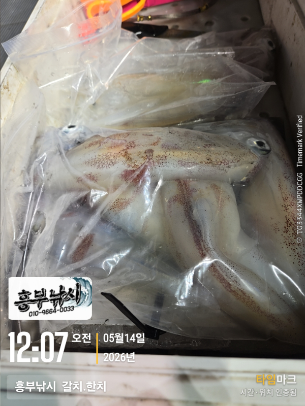 2026-05-14 12.07.23__(-흥부낚시  갈치.한치).jpg