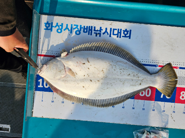 KakaoTalk_20260515_163915406_10.jpg