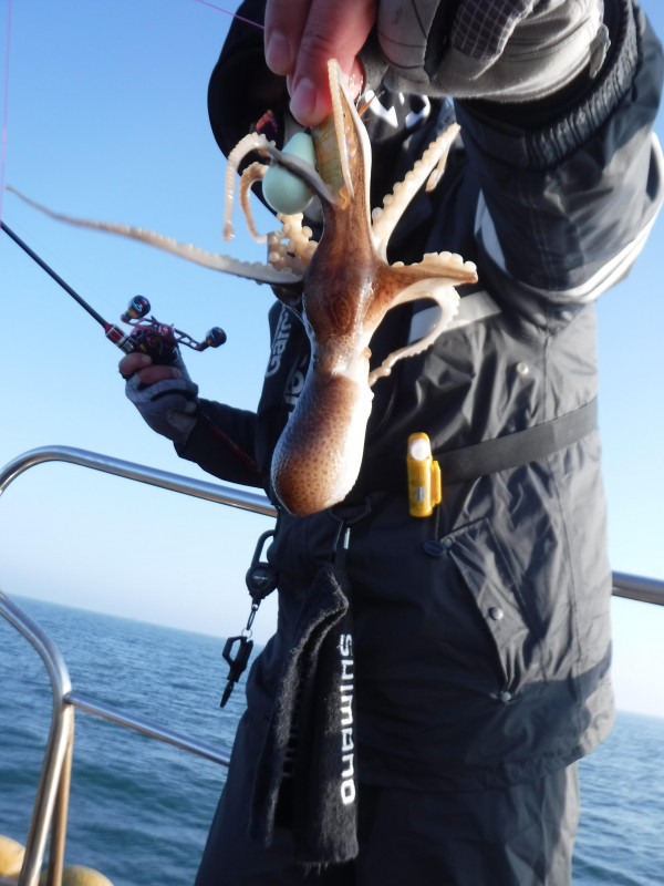 DSCF5648.JPG