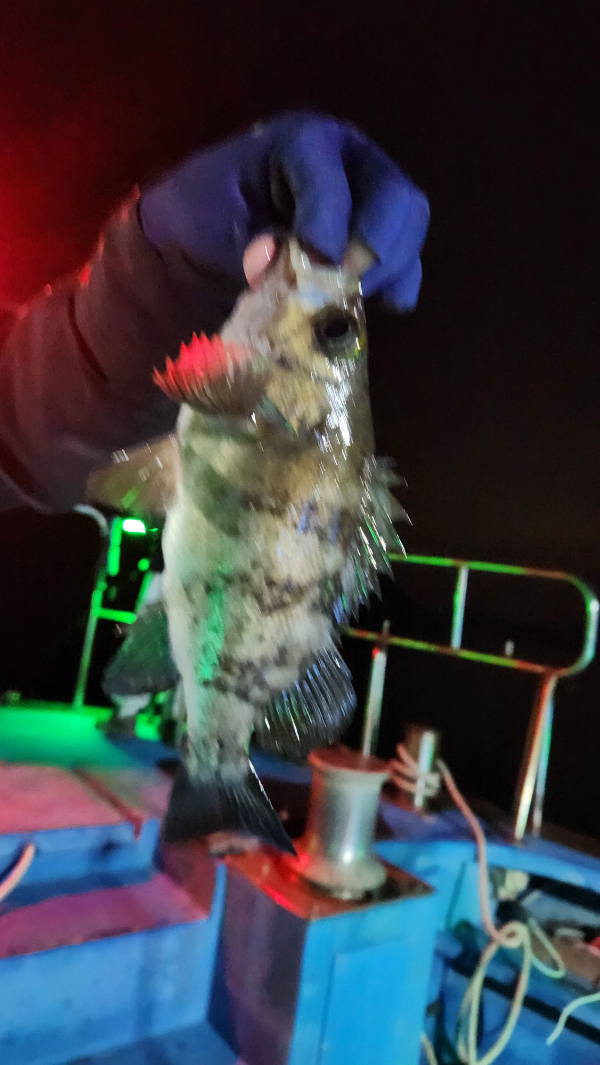 20260502_201308.jpg