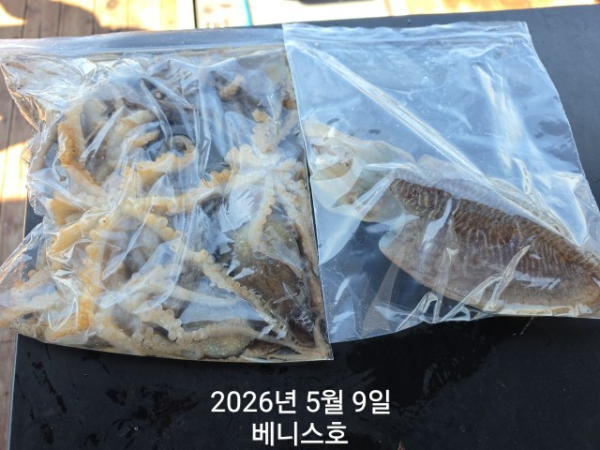 KakaoTalk_20260509_135736478_04.jpg