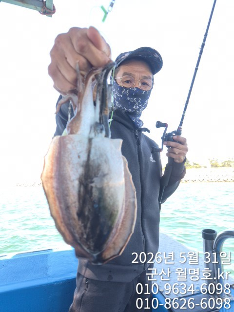 8042.jpg