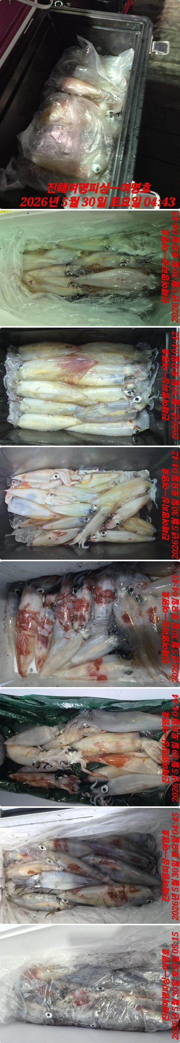 한치중.jpg