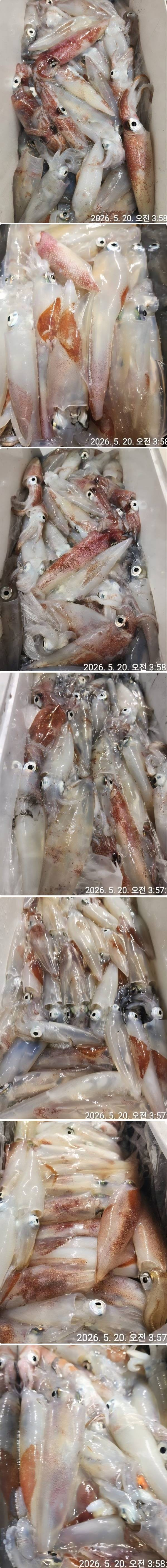 한치중.jpg