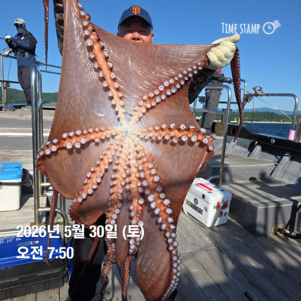 공현진낚시마트(돌핀호)_사진_20260530_1.jpg