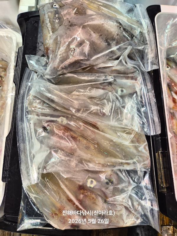 바다꾼낚시(신아라호)_사진_20260526_7.jpg