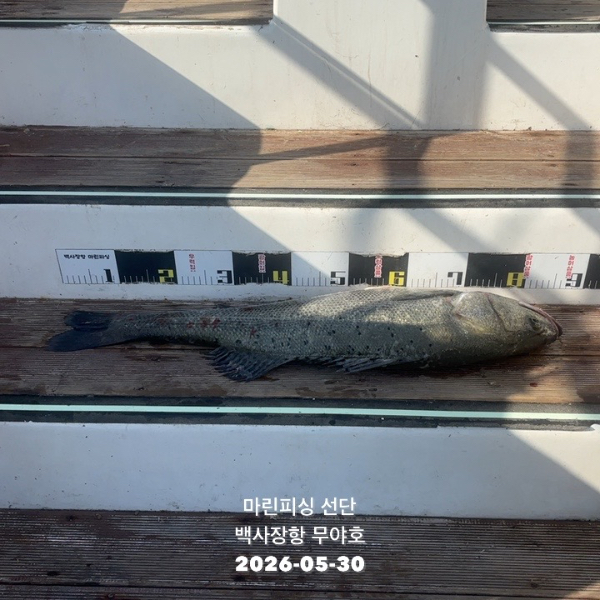TC_01029.jpeg
