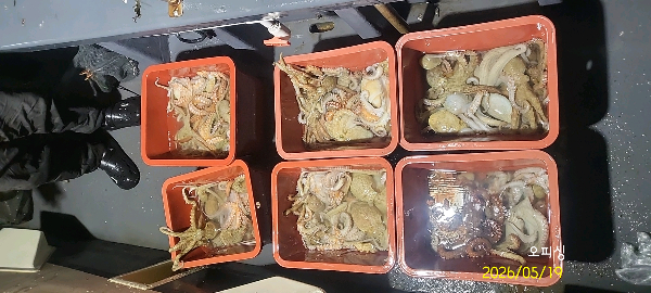 DateCamera0519222419.jpg