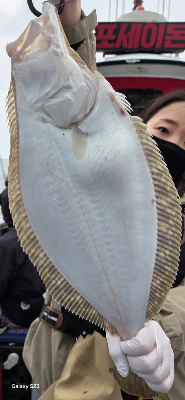 BandPhoto_2026_05_25_06_05_59_11.jpg