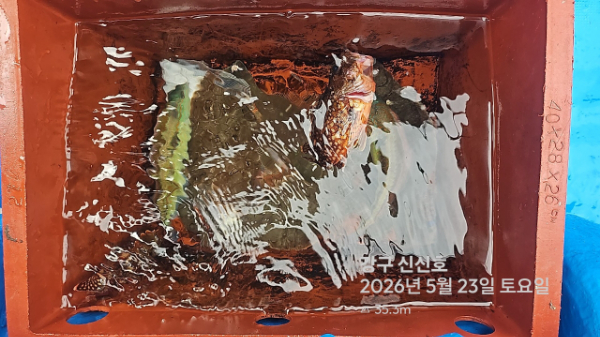 신신낚시 강구점 신신호_사진_20260523_8.jpg