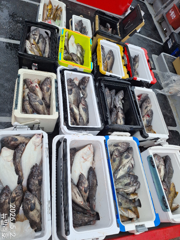 KakaoTalk_20260502_164638490_12.jpg
