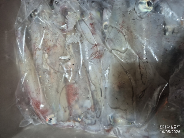 1778881199029.jpg