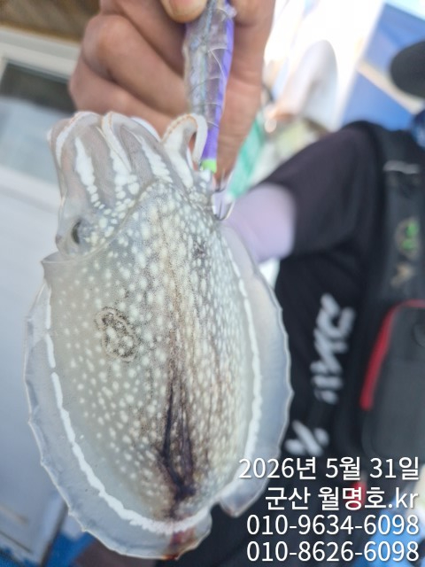 8030.jpg