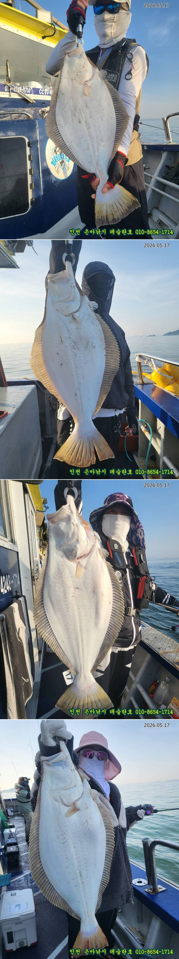 113.jpg