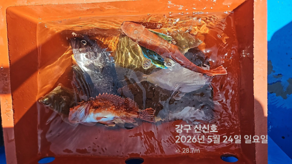 신신낚시 강구점 신신호_사진_20260524_13.jpg