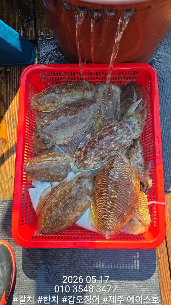 KakaoTalk_20260517_194920443_05.jpg