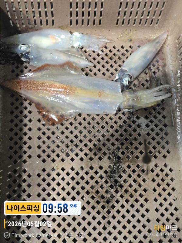 2026-05-02 09.58.30__(제목-나이스피싱).jpg