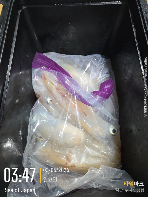33966.jpg