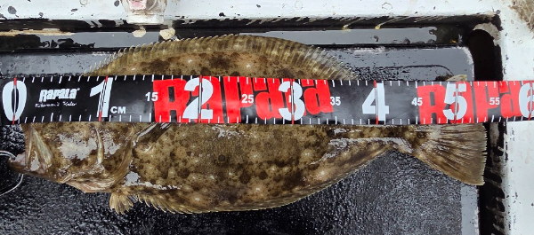 17307.jpg