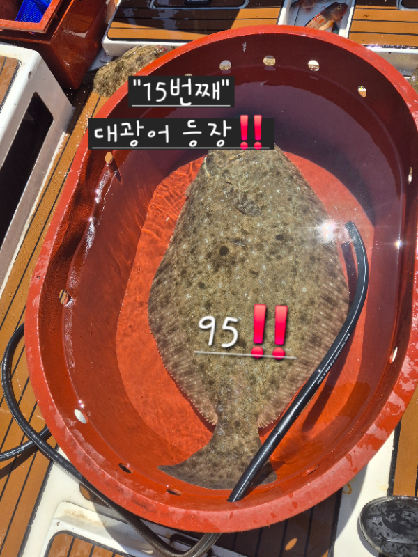 1780118644536.jpg