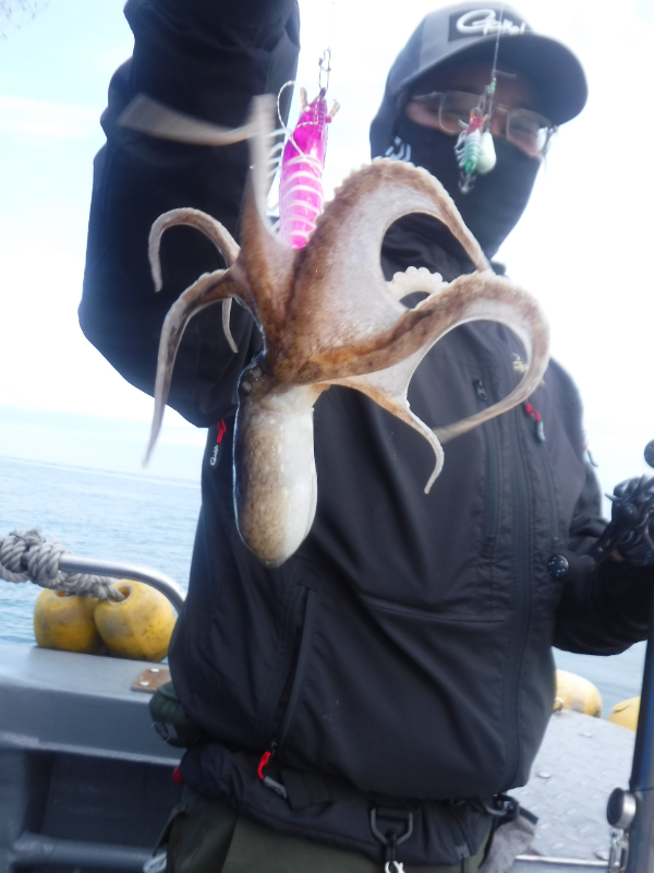 DSCF5708.JPG