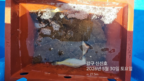 신신낚시 강구점 신신호_사진_20260530_13.jpg
