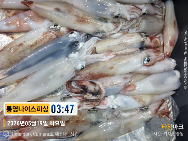 2026-05-19 03.47.47__(제목-통영나이스피싱).jpg
