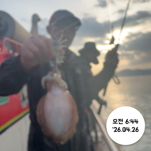 여수타이슨호01032905655_사진_20260427_1.jpg