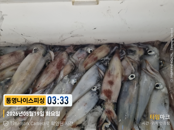 2026-05-19 03.33.56__(제목-통영나이스피싱).jpg