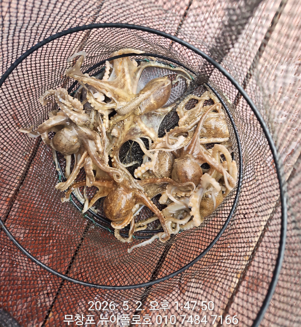 1000014841.jpg