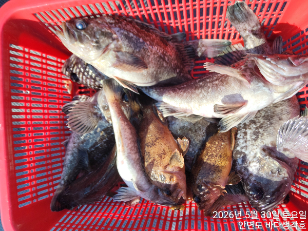 KakaoTalk_20260530_175352793.jpg