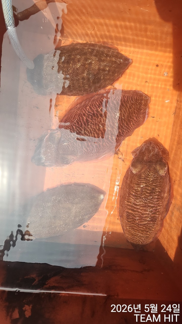 1000055062.jpg