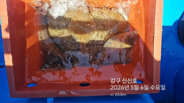신신낚시 강구점 신신호_사진_20260506_18.jpg
