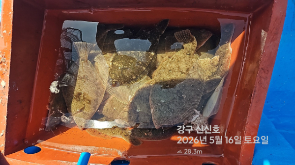 신신낚시 강구점 신신호_사진_20260516_18.jpg