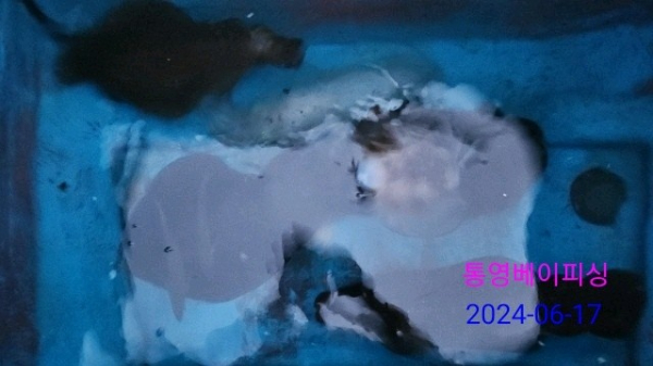 1000105891.jpg