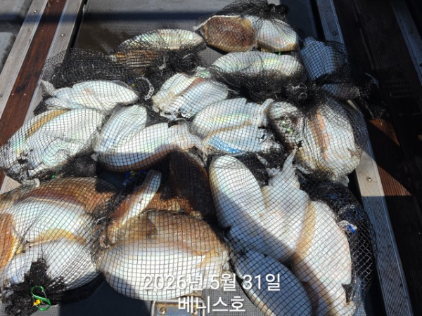 KakaoTalk_20260531_145710042_02.jpg
