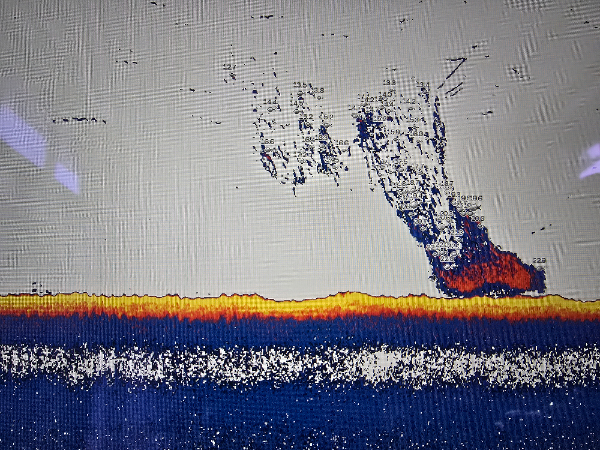 20260523_132915.jpg