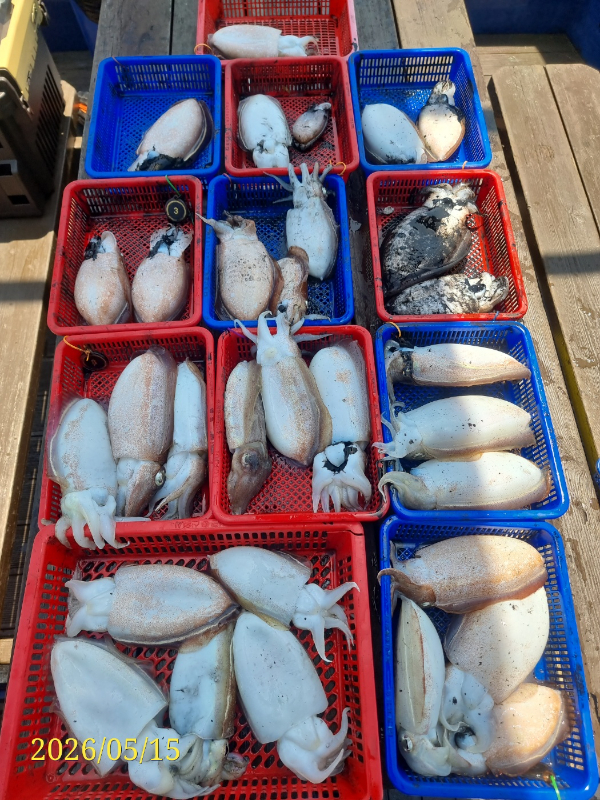 1778821424083.jpg